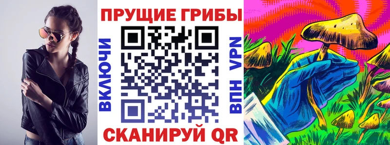 Псилоцибиновые грибы прущие грибы  где купить   Невинномысск 