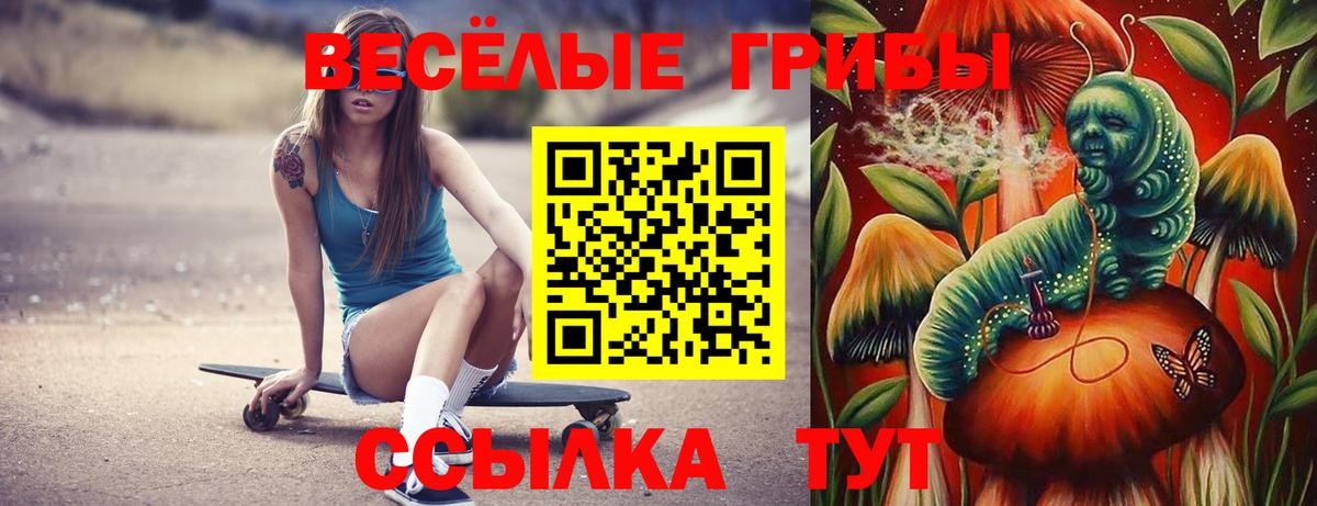 Невинномысск  Псилоцибиновые грибы прущие грибы  Вход с VPN 