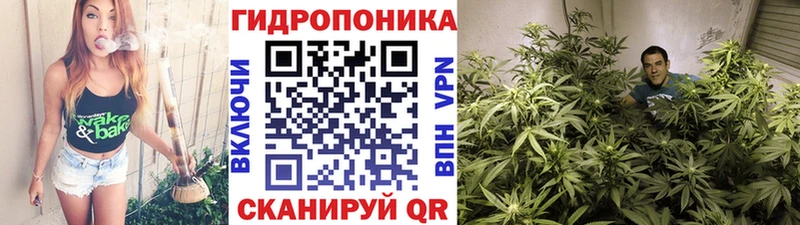 hydra маркетплейс  Невинномысск  Шишки марихуана THC 21% 