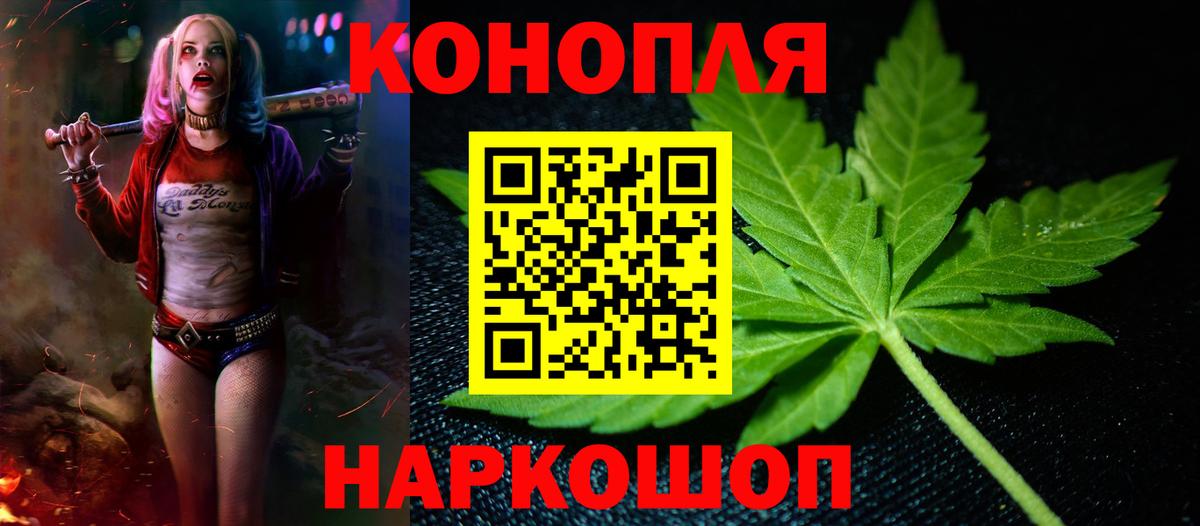 Бошки Шишки конопля Невинномысск